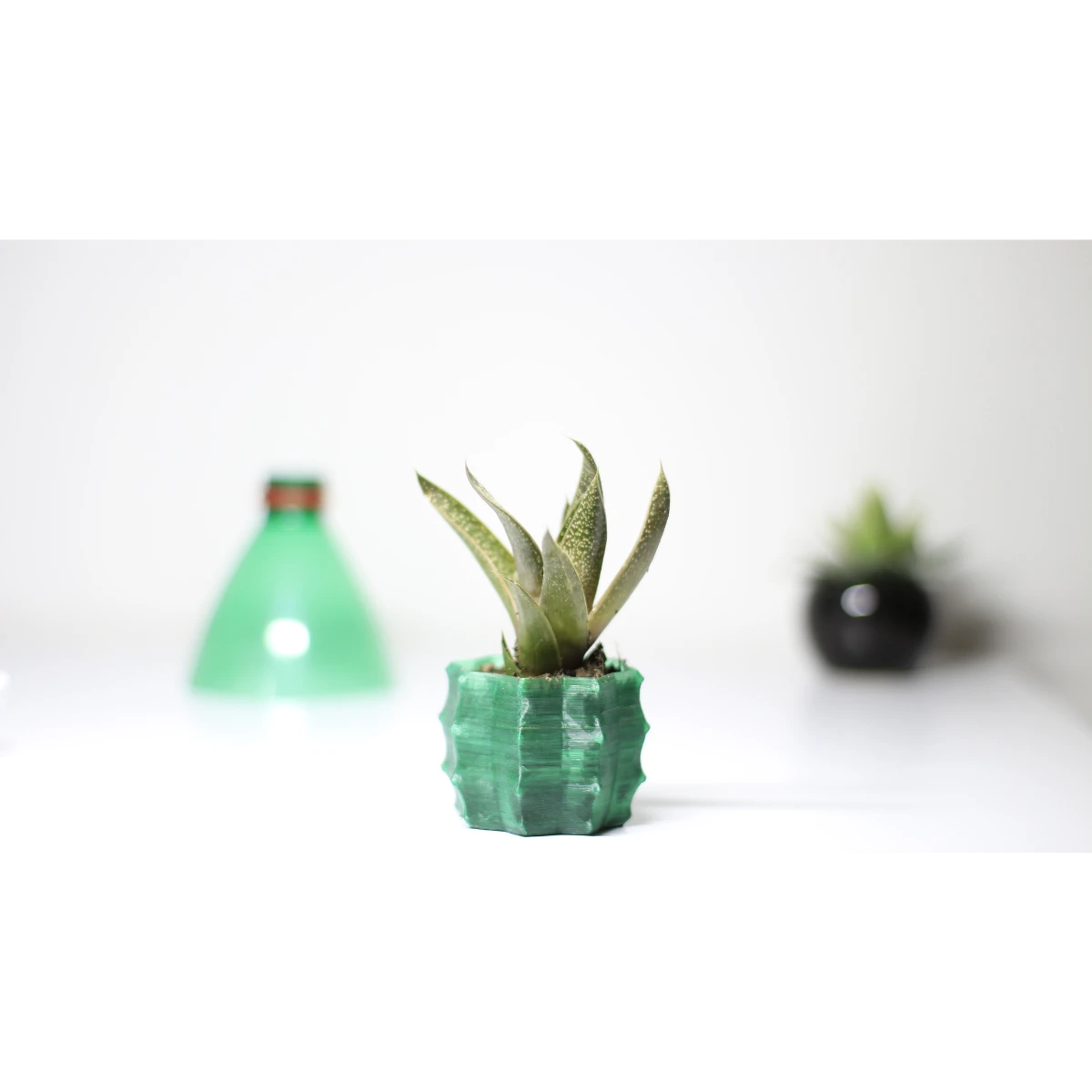 PETmachine® - Image 8